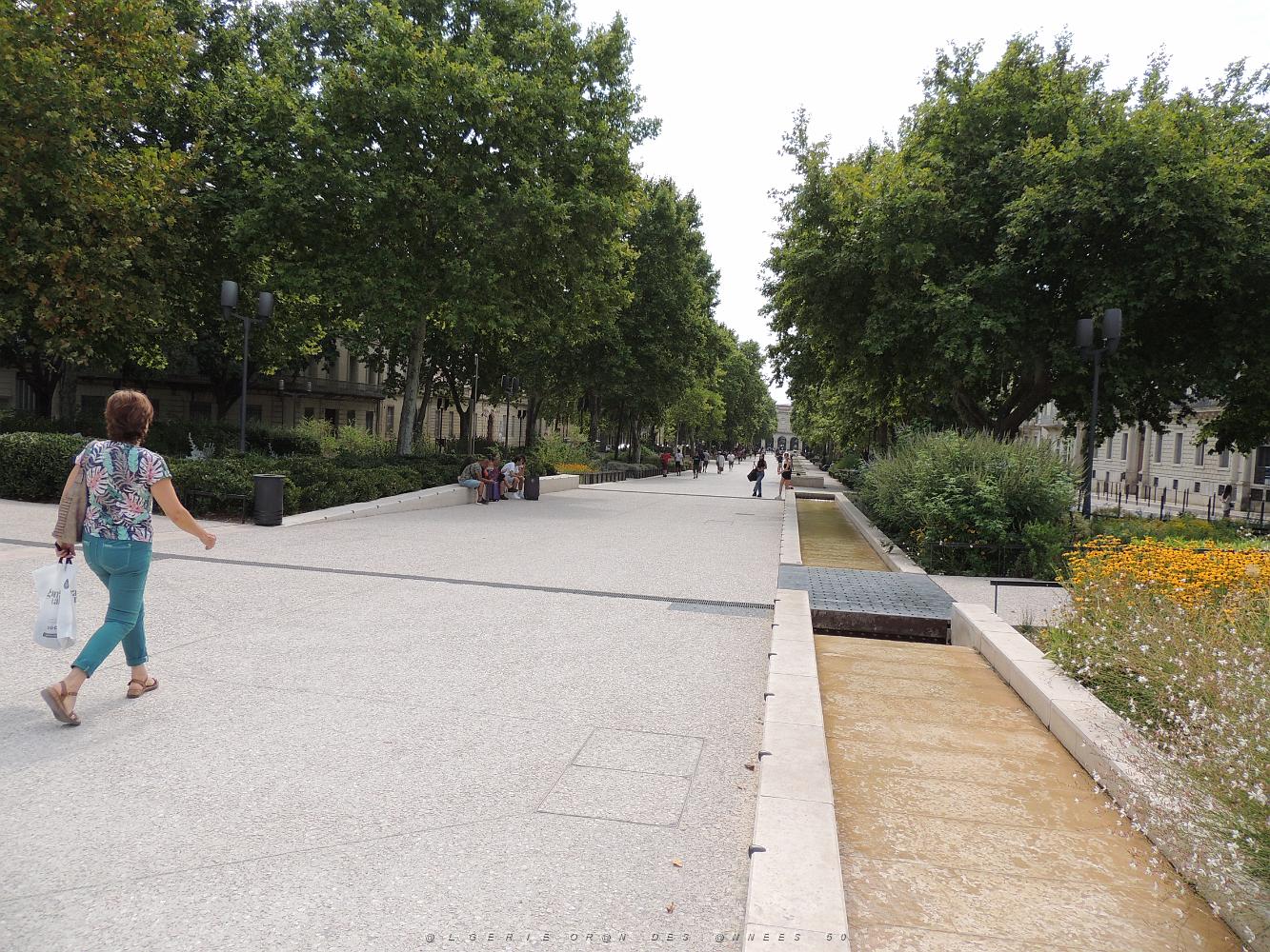 2022 07 UN AIR DE VACANCES LE 22 NIMES (21).JPG -           